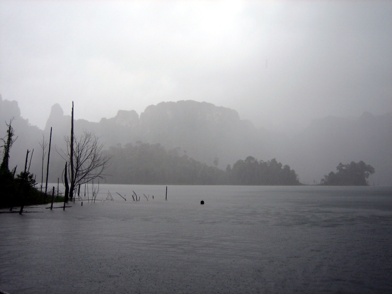 41Khao Sok National Park